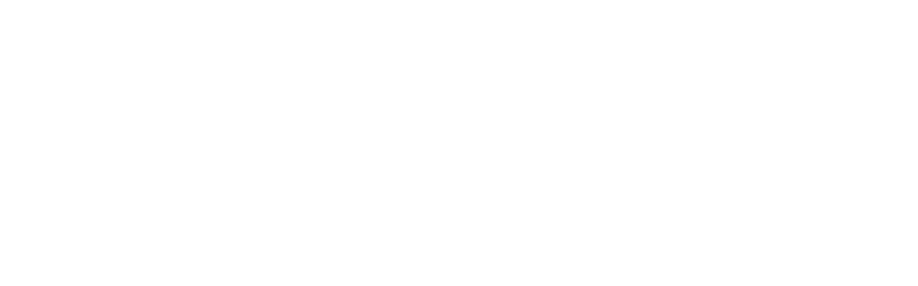 The Planetary Society